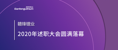 币游国际(中国)锂业召开2020年述职大会